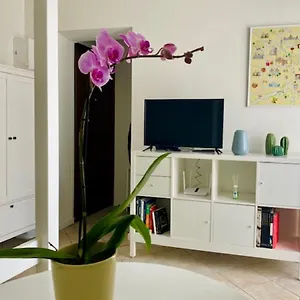 Cozy Gambara - Sansiro , Milano Italia